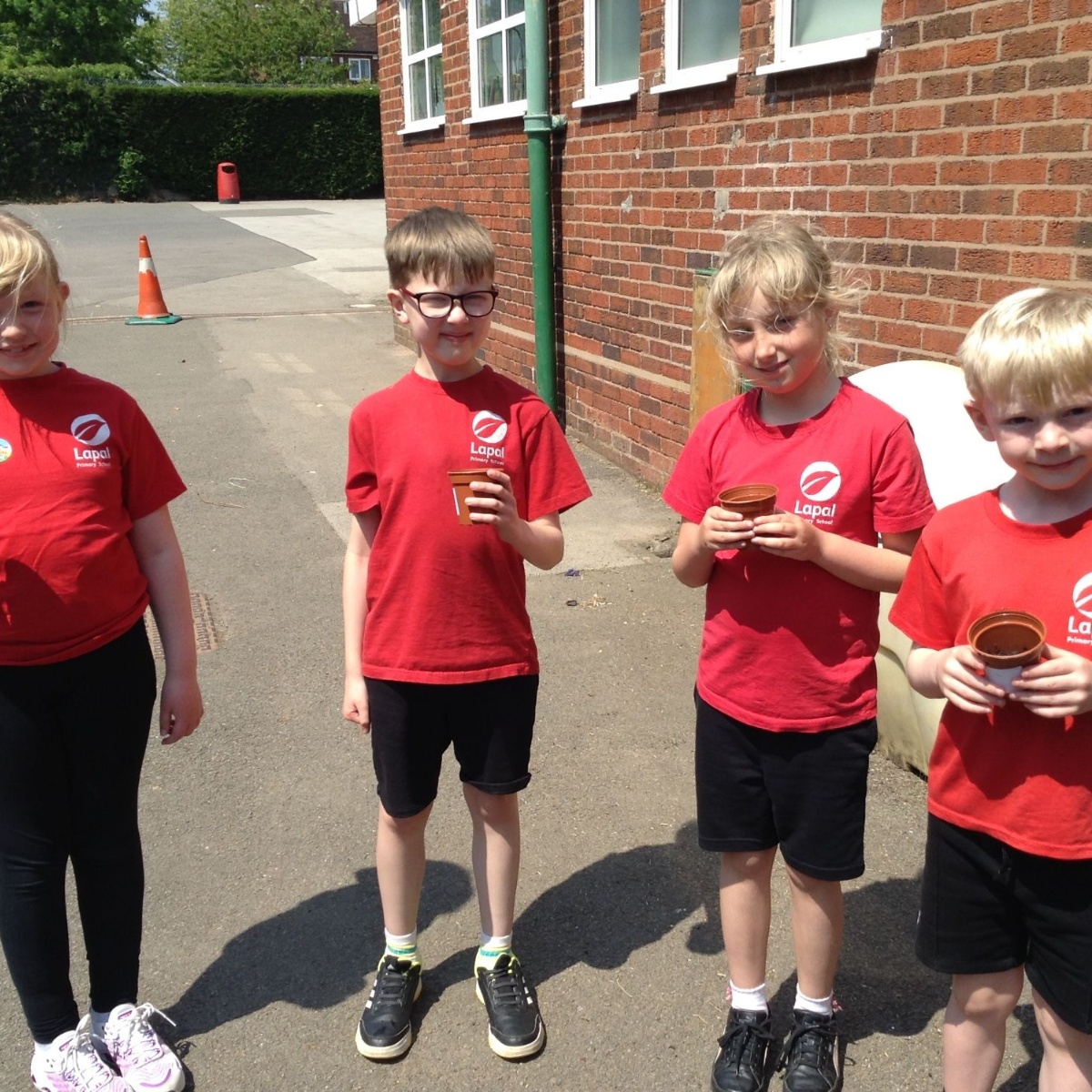 Lapal primary year 2 science